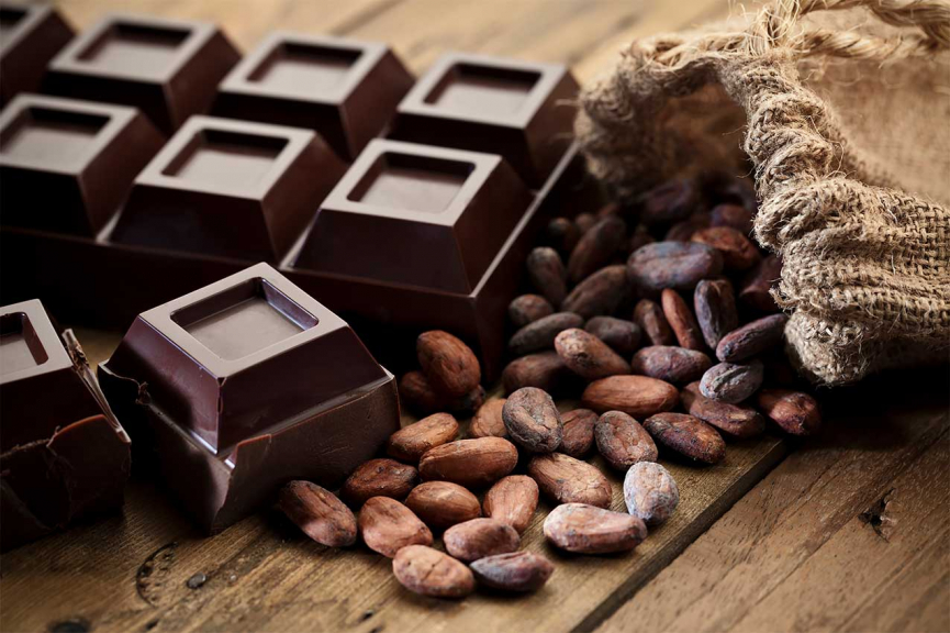 Світ у небезпеці: шоколад може зникнути до 2050 року